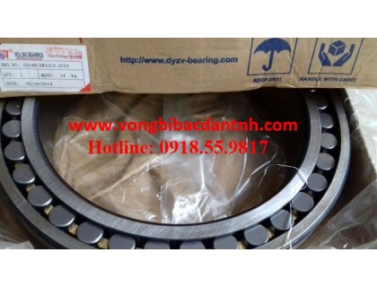 VÒNG BI-BẠC ĐẠN-Ổ-BI-DYZV-23948CAW33C3