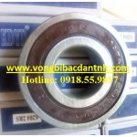 VÒNG BI 6204 - BẠC ĐẠN 6204