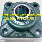 VÒNG BI UCF205 - BẠC ĐẠN UCF205