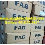 BẠC ĐẠN FAG-ĐỨC