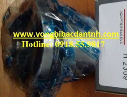 BẠC LÓT H2309