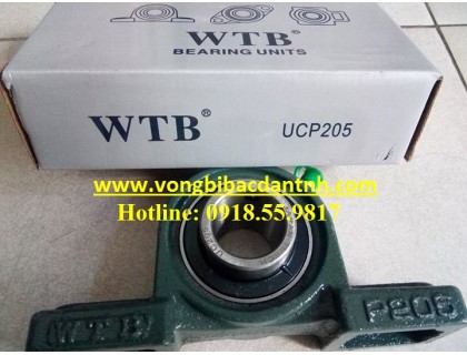 VÒNG BI UCP205 - BẠC ĐẠN UCP205