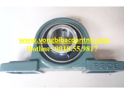 BẠC ĐẠN UCP308