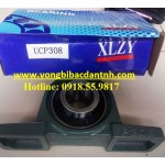 BẠC ĐẠN UCP308 - P308