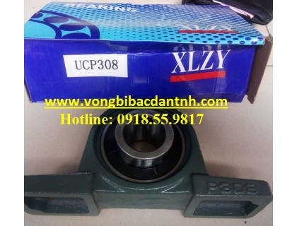 VÒNG BI UCP308 - P308