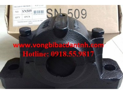 GỐI ĐỠ-Ổ BI-BẠC ĐẠN FBJ SN509