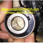 VÒNG BI UC203 - BẠC ĐẠN UC203