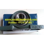 BẠC ĐẠN UCP306 - P306