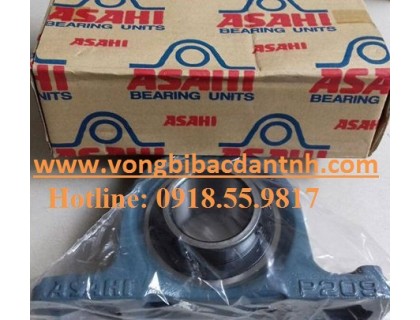 VÒNG BI UCP209