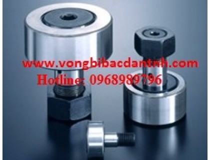 BEARING INA CF18