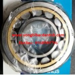 VÒNG BI-BẠC ĐẠN-Ổ BI NJ309EG1C3-VÒNG BI NJ309 RẾ ĐỒNG-NJ309 RẾ SẮT-NJ309 RẾ NHỰA