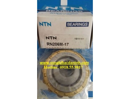 BẠC ĐẠN-RN206-17 - NTN