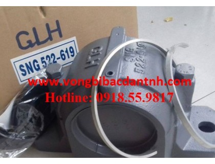 GỐI ĐỠ-Ổ BI-BẠC ĐẠN-2 NỮA-SNG522-619-GLH