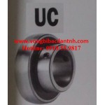 VÒNG BI-BẠC ĐẠN-UC305-16-UC306-18-UC307-20-22-UC308-24-UC309-28-UC310-31-UC311-32-UC312-UC313-40-UC314-44-UC315-48-UC316-UC317-UC318-56-UC319-UC320-64-UC321-UC322-UC324-UC326-UC328-JIB-NTN-ASAHI-FYH-FBJ-PBC-NET-NHẬT-HAN QUỐC-KOREA-TRUNG QUỐC-GIÁ RẺ