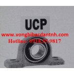 GỐI ĐỠ-VÒNG BI-UCP305-16-UCP306-18-UCP308-20-22-23-UCP308-24-UCP309-28-UCP310-31-UCP311-32-UCP312-UCP313-40-UCP314-44-UCP315-48-UCP316-UCP317-UCP318-56-UCP319-UCP320-64-UCP321-UCP322-UCP324-UCP326-UCP328-JIB-NTN-ASAHI-FYH-FBJ-NET-PBC-LK-KYK-KBK-KOREA