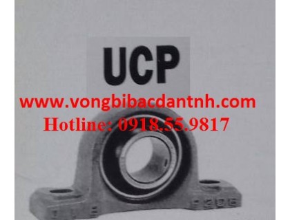 GỐI ĐỠ-VÒNG BI-UCP201-8-UCP202-10-UCP203-UCP204-12-UCP205-14-15-16-UCP207-20-21-22-23-UCP208-24-25-UCP209-26-27-28-UCP210-30-31-32-UCP211-32-34-35-UCP212-36-38-39-UCP213-40-UCP214-44-UCP215-48-UCP216-UCP217-52-UCP218-56-JIB-NTN-ASAHI-FYH-FBJ-KOREA