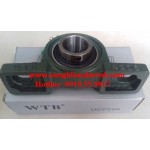 GỐI ĐỠ-Ổ BI-BẠC ĐẠN WTB UCP206