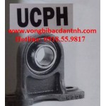 GỐI ĐỠ-VÒNG BI-BẠC ĐẠN-UCPH201-8-UCPH202-10-UCPH203-UCPH204-12-UCPH205-14-15-16-UCPH206-18-19-UCPH207-20-21-22-23-UCPH208-24-25-UCPH209-26-27-28-UCPH210-30-31-32-JIB-NTN-ASAHI-FYH-FBJ-PBC-LK-NET-PBC-MSB-NHẬT-HÀN QUỐC-KOREA-TRUNG QUỐC-GIÁ RẺ