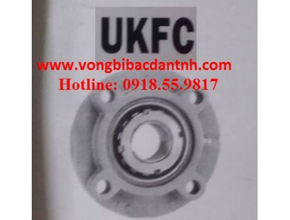 GỐI ĐỠ-VÒNG BI-UKFC213-JIB