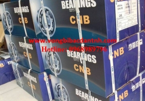 KHO HÀNG CNB TNH BEARING