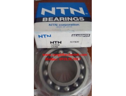 VÒNG BI-BẠC ĐẠN-Ổ BI NTN 1205SK
