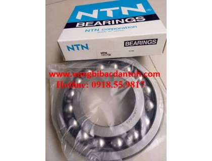 VÒNG BI-BẠC ĐẠN 1317SK-1317-1317S-1317K-1331-1332-1333-1334-1335-1336-1337-1338-1339-1340-1341-1342-1343-1344-1345-1346-1347-1348-1349-1350-S-K-SK-NTN-NSK-KOYO-FAG-NACHI-SKF-NHẬT-ĐỨC