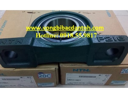 GỐI ĐỠ UCP216 - P216