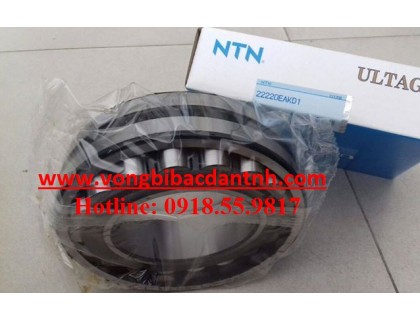 BẠC ĐẠN-22222EAKD1-NTN