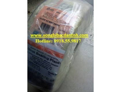BẠC ĐẠN 22324ACMBC3W33 - MPZ