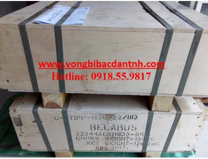 VÒNG BI-BẠC ĐẠN-MPZ-22344ACKMW33