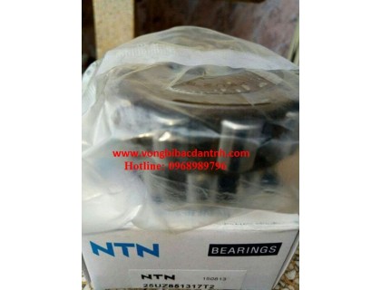 VÒNG BI LỆCH TÂM NTN 25UZ851317T2