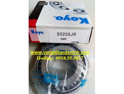 BẠC ĐẠN 30205-JR