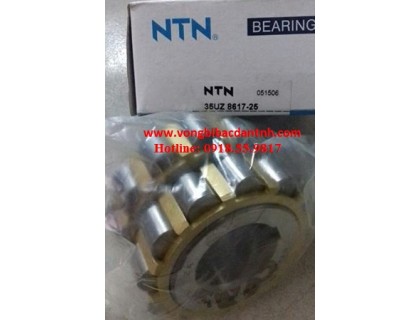 VÒNG BI LỆCH TÂM NTN 35UZ8617-25