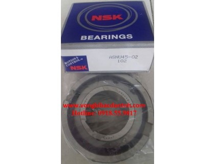 VÒNG BI-BẠC ĐẠN-Ổ BI-1 CHIỀU-ASNU45-NSK-STIEBER-NTN-NHẬT-ĐỨC-GIÁ RẺ
