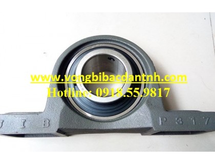 VÒNG BI P317 - UCP317