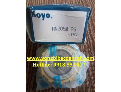 BẠC ĐẠN LỆCH TÂM KOYO