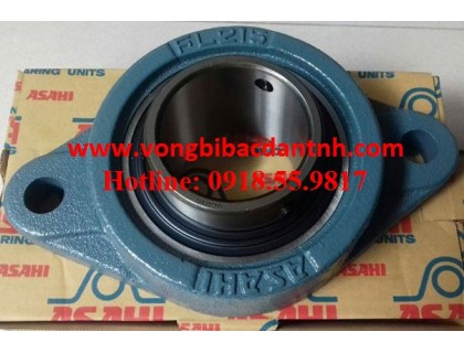 VÒNG BI-BẠC ĐẠN-GỐI ĐỠ-UCFL215-ASAHI