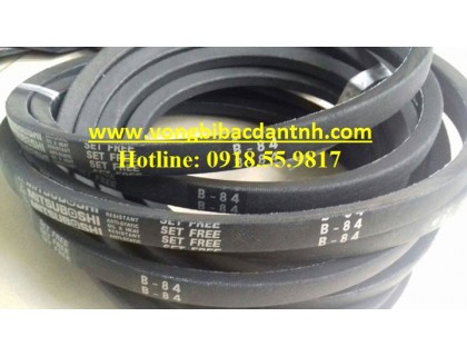DÂY CUROA B84