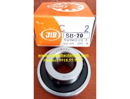 VÒNG BI CSB202 - JIB