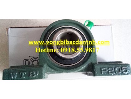 GỐI ĐỠ UCP205 - P205