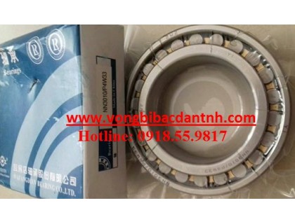 VÒNG BI NN3010P4W33-ZWZ